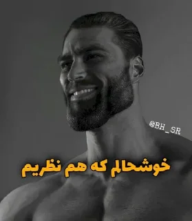 🤝 emoji [Giga Chad] | @BH_SR Telegram sticker 15 of 35