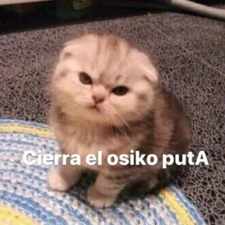 😤 emoji Sticker Ari Telegram sticker 7 of 120