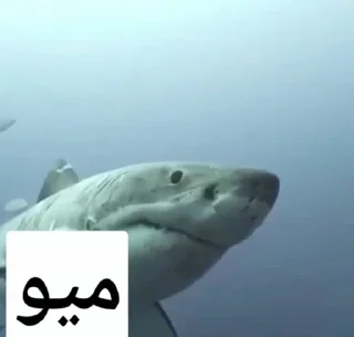 Sticker from افسارگسیختگان🎇