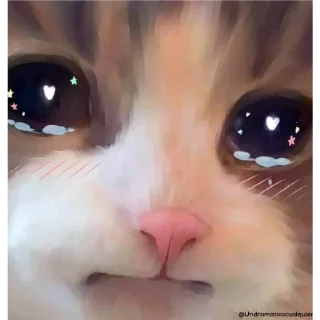 🙂 emoji Meu primeiro pacote Telegram sticker 21 of 27