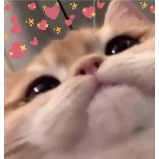 🙂 emoji Meu primeiro pacote Telegram sticker 8 of 27
