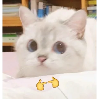 🙂 emoji Meu primeiro pacote Telegram sticker 23 of 27