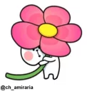 🌺 emoji amir aria 3 Telegram sticker 7 of 120
