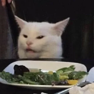 😠 emoji Sad cat memes Telegram sticker 9 of 28