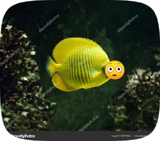 😳 emoji Fish Telegram sticker 8 of 20