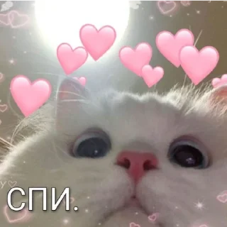 ❤️ emoji Специально для Рея Telegram sticker 21 of 63