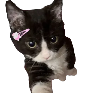 Sticker from Dee