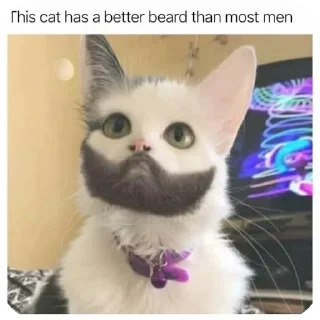 🐱 emoji Join - @Englishs_Chatting_Club Telegram sticker 7 of 102