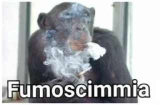 🐵 emoji pianeta delle scimmie Telegram sticker 2 of 87