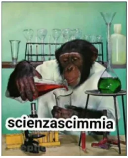 🐵 emoji pianeta delle scimmie Telegram sticker 8 of 87