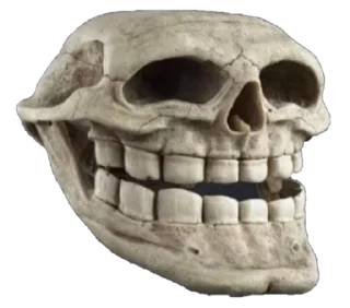 💀 emoji Kh collection Telegram sticker 9 of 46