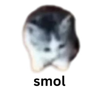Sticker from smol