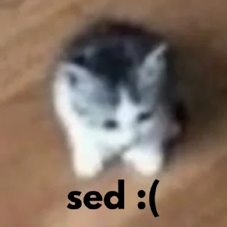 Sticker from smol