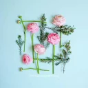 🌺 emoji Flowers Telegram sticker 15 of 101