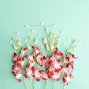 🌺 emoji Flowers Telegram sticker 11 of 101