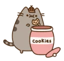 🐱 emoji Pusheendue Telegram sticker 13 of 25