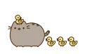 🐱 emoji Pusheendue Telegram sticker 14 of 25
