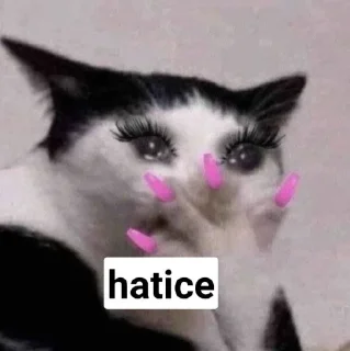 🥺 emoji skills Telegram sticker 13 of 23
