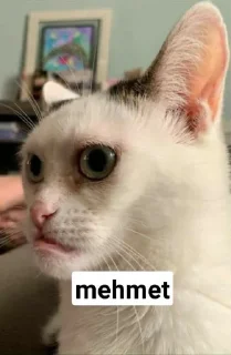 🙁 emoji skills Telegram sticker 21 of 23