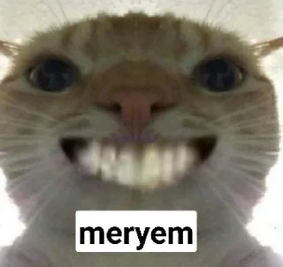 😁 emoji skills Telegram sticker 23 of 23