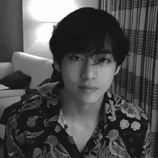 🐚 emoji Kim Taehyung @IfWithoutYou Telegram sticker 19 of 91