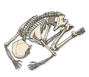 😓 emoji Bob Telegram sticker 15 of 41