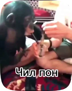 🤯 emoji Обезьянки поны 3 Telegram sticker 20 of 32