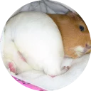 Sticker from Fat Cuy