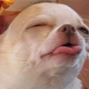 😟 emoji dogs Telegram sticker 4 of 49