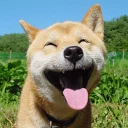 🙃 emoji dogs Telegram sticker 17 of 49
