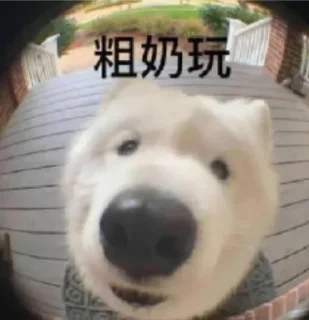 Sticker from 玩体育做代理找我 @xlong1