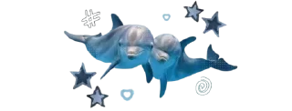 🌷 emoji ㅤㅤ 𝓉𝒾𝓃𝓃𝒾𝓉𝓊𝓈  ㅤㅤ @qill3o Telegram sticker 7 of 55