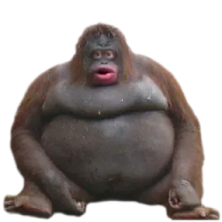 🍔 emoji Il pacchetto di zøb Telegram sticker 20 of 64