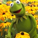 💐 emoji Kermit The Frog Telegram sticker 17 of 120