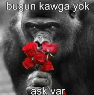 🤔 emoji @carmenslolita @AsenaUserBot Paketi 2 Telegram sticker 11 of 77