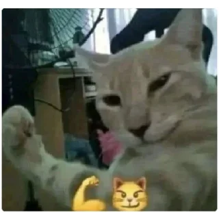 😁 emoji Aleatório Telegram sticker 17 of 23