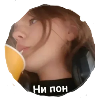Sticker from Ельвирка каже пон