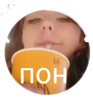 Sticker from Ельвирка каже пон