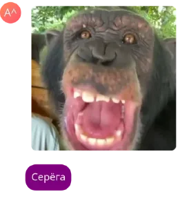 👉 emoji пупсяшный чат pack by @QuotLyBot Telegram sticker 9 of 59