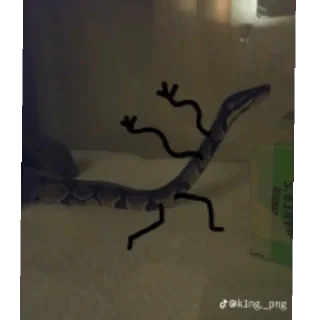 Sticker from Snake pack