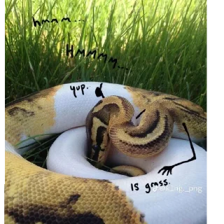 😄 emoji Snake pack Telegram sticker 7 of 9