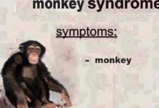 Sticker from Monke