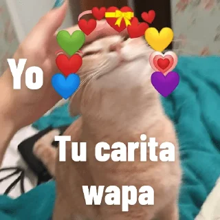 🐯 emoji Paketón by Tired_Tiger8 Telegram sticker 10 of 120