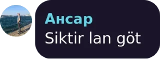 😎 emoji Saçsız Kral Ensar Telegram sticker 9 of 30
