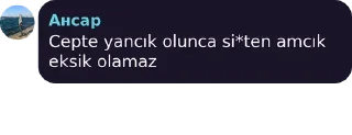 😎 emoji Saçsız Kral Ensar Telegram sticker 7 of 30