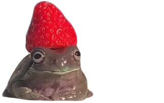 🍓 emoji BOBPACK 2 Telegram sticker 18 of 88