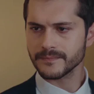 🥥 emoji Alperen Duymaz @EliotSticker Telegram sticker 12 of 50