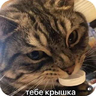 👍 emoji Разное Telegram sticker 8 of 62