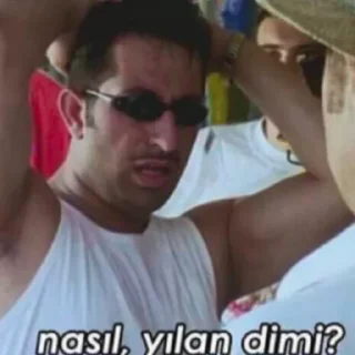 🐍 emoji Can #GOKTURK'ın Arak Paketi  @cikartmaaraklayicibot Telegram sticker 13 of 69