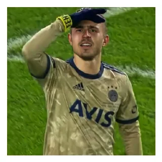 Sticker from Fenerbahçe ruhu 💛💙